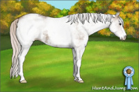 Horse Color:White Spotted Silver Grullo 
