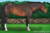 Horse Color:Brown 