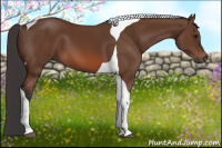 Horse Color:Bay Tobiano