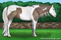 Horse Color:Silver Black Sabino Splash Tobiano 