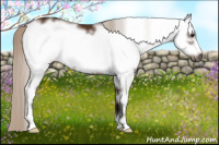 Horse Color:Gray White Spotted Silver Bay Frame 