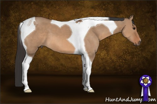 Horse Color: Bay Dun Tobiano 