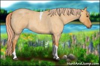 Horse Color:Palomino Roan Dun Tobiano