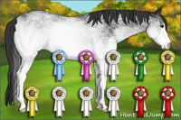 Horse Color:White Spotted Black 