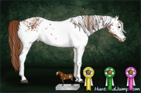 Horse Color:White Spotted Chestnut 