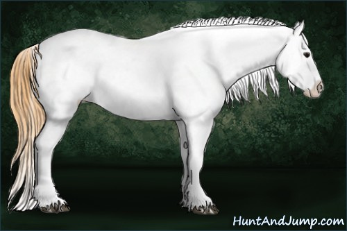 Horse Color:Buckskin Blanket 
