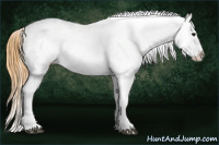 Horse Color:Buckskin Appaloosa