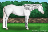 Horse Color:White Spotted Silver Blue Roan Splash