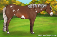 Horse Color:White Spotted Silver Bay Frame 