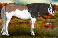 Horse Color:Bay Roan Splash Rabicano 