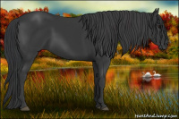 Horse Color:Black Rabicano 