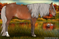 Horse Color:Silver Bay Rabicano