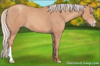 Horse Color:Silver Sable Champagne 