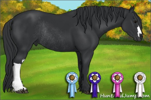 Horse Color: Brown Rabicano 