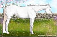 Horse Color:White Spotted Liver Chestnut Splash 