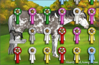 Horse Color:Grullo Sabino 