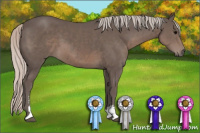 Horse Color:Silver Black Sabino 