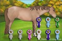 Horse Color:Black Pearl Sabino