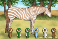 Horse Color:Black Pearl Sabino