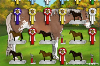 Horse Color:Silver Black Sabino 