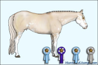 Horse Color:Silver Grullo Pearl Sabino
