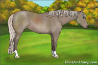 Horse Color:Silver Black 