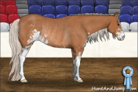 Horse Color:Silver Bay Sabino Rabicano 