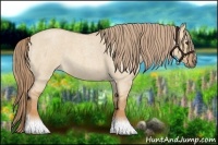 Horse Color:Red Dun Roan