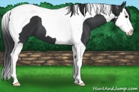 Horse Color:Black Splash Tobiano 