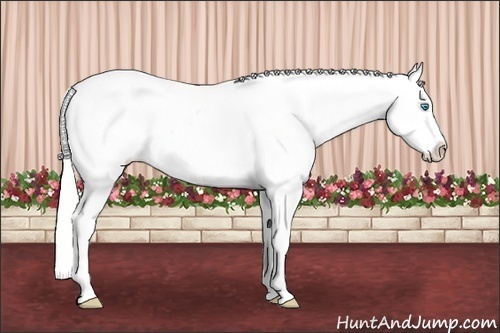 Horse Color: Silver Perlino Roan Near Leopard 
