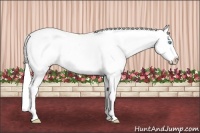 Horse Color:Silver Perlino Roan Near Leopard 