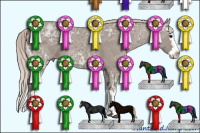 Horse Color:Silver Grullo Ice Sabino Splash