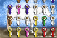 Horse Color:Bay Roan Dun Sabino Appaloosa