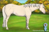 Horse Color:Gold Cream Champagne Roan Dun 