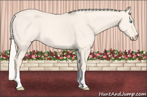 Horse Color: Cremello Dun 