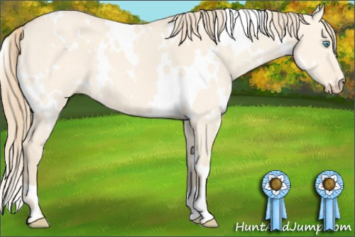 Horse Color: White Spotted Perlino Dun 