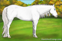 Horse Color:Perlino Dun Tobiano Frame Rabicano 
