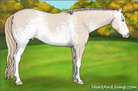 Horse Color:White Spotted Smoky Creme 