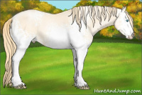 Horse Color:White Spotted Buckskin Pearl 