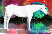 Horse Color:White Spotted Perlino Dun Splash Frame 