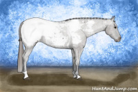 Horse Color:Grullo Tobiano Near Fewspot 