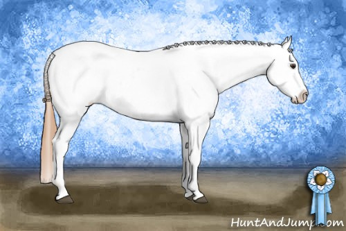 Horse Color: Red Roan Blanket 