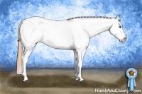 Horse Color:Red Roan Appaloosa 