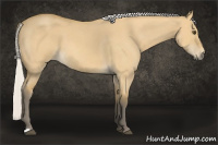 Horse Color:Silver Buckskin Roan Dun 