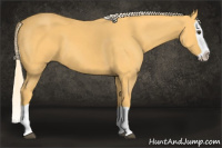 Horse Color:Palomino Splash 