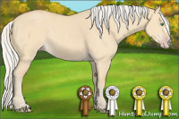 Horse Color:Silver Sable Cream Champagne Dun 
