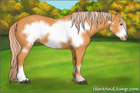Horse Color:Chocolate Palomino Frame 