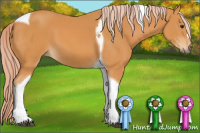 Horse Color:Chocolate Palomino Tobiano 