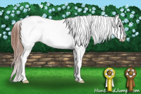 Horse Color:Black Appaloosa Rabicano 