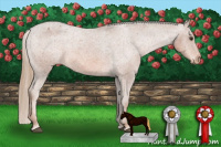 Horse Color:Liver Chestnut Appaloosa 